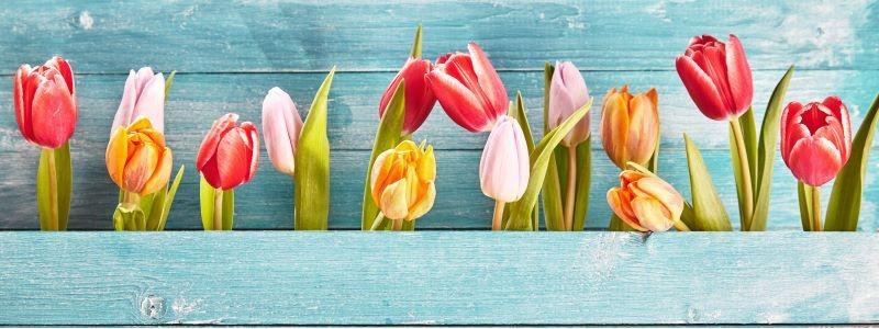 医療法人社団祐和会